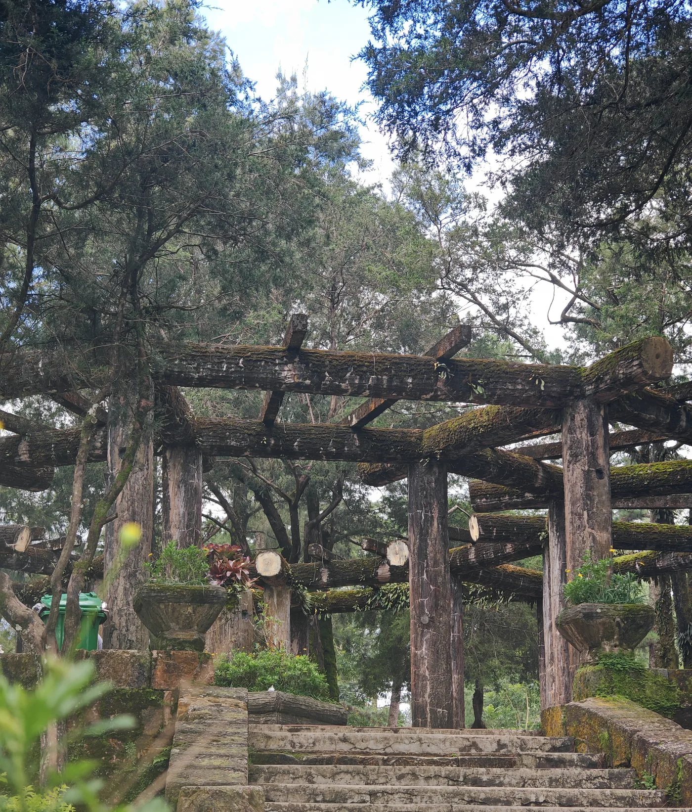 Wooden pergola over stone steps in a planted garden